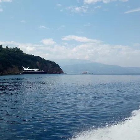 Peggy's House Ferienhaus *